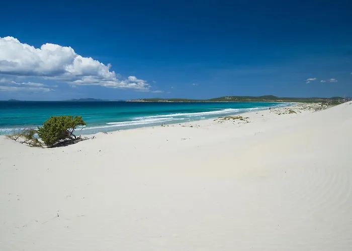 Corallo & アパートホテル 4*