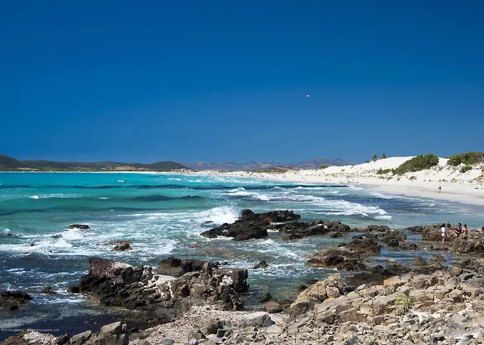 アパートホテル Corallo & ポルト・ピノ